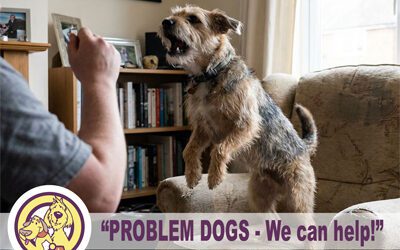 Does your dog come with challenges?