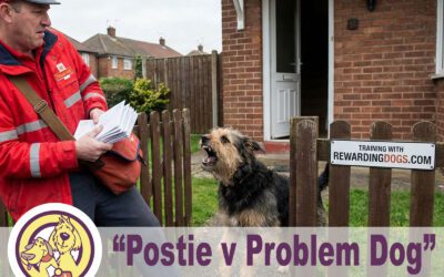 The Postman Problem – Why Dogs Bite and How to Fix It