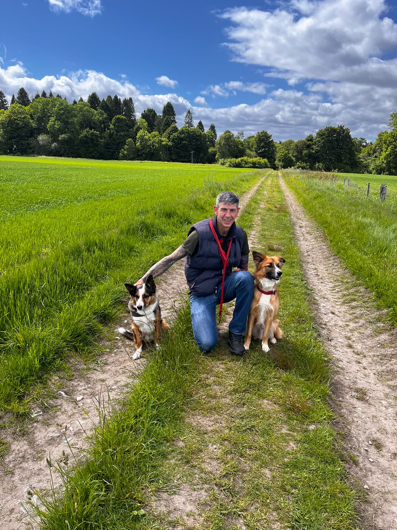 Ray Robinson - Rewarding Dogs - Inverness Ray Robinson – trainer at Rewarding Dogs – Inverness, kneels on a grassy dirt path in a green field, holding two dogs on leads. Both wear red collars. Trees and a blue sky with clouds create a tranquil backdrop behind him in his waistcoat and jeans.